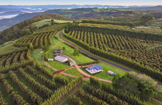A Wonderful Country Relax. Reconnect with nature.