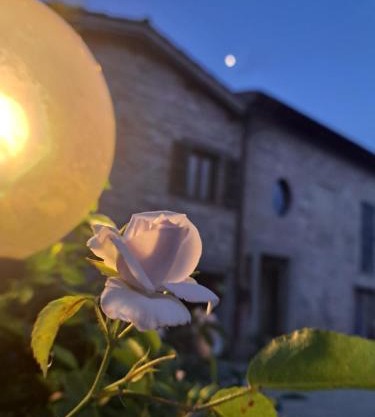 Agriturismo Il Raggio di sole di Orpello