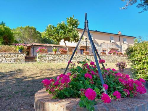 Agriturismo Mezzo Poggio Suvereto