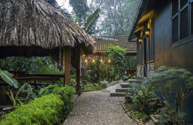 Air-Conditioned Premium Room w/Private Bathroom & Porch - Near Treehouse Bar
