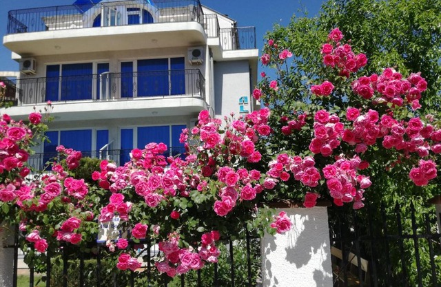 Albatros Hotel 