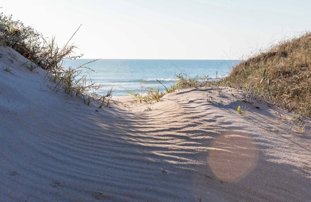 Albufera Dreams Nature Suites