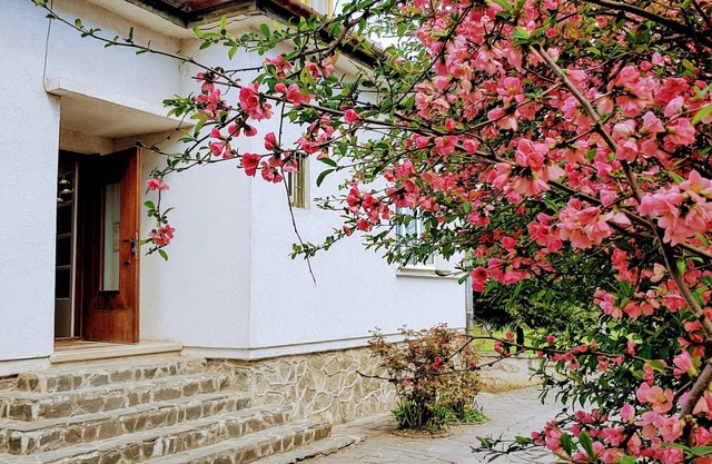 Amazing house with beautiful garden, 5 bedrooms, terrace, in the City Centre