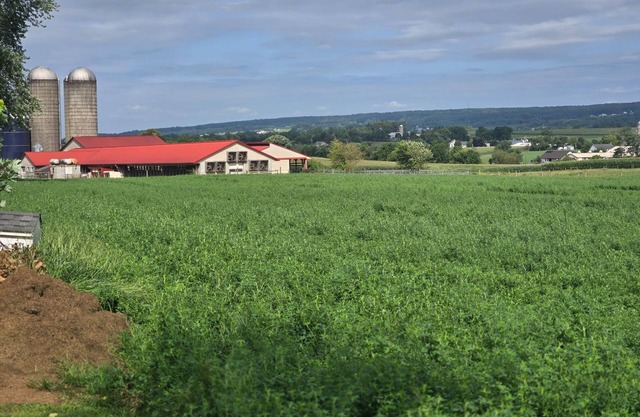 AMISH STAY/Buggy Rides/Fire pit/Pet Animals/(24 min) intercourse attractions
