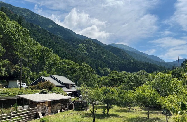 An old house with a spacious kitchen surrounded by mountains and clear streams
