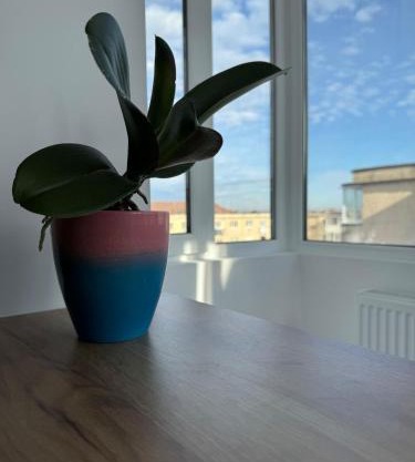 Ana's Loft