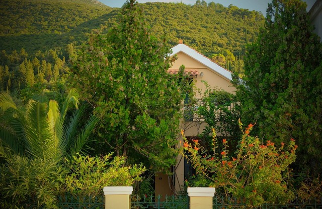 Anassa Boutique Beach House | Registration number 00000855271