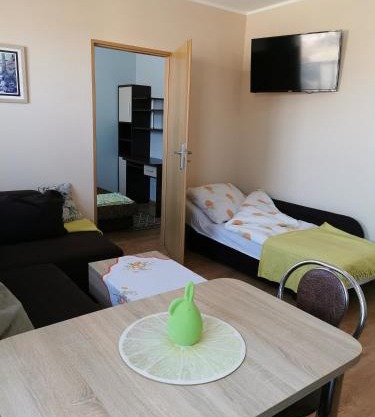 Apartament Borowiacki