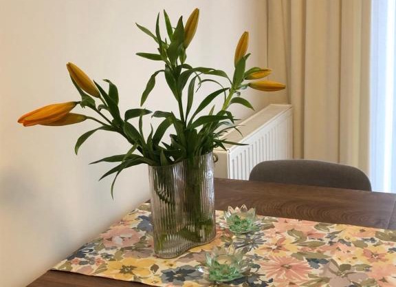 Apartament Zielony Zakątek