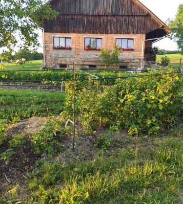 Apartmán U Milušky