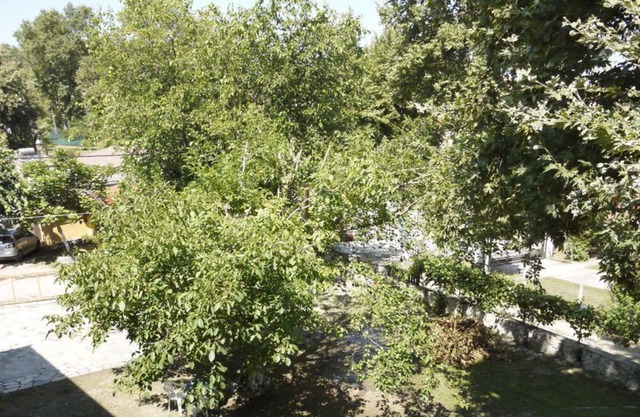 Apartment 107 - Achillion B&B, close to the beach and Mount Olympus