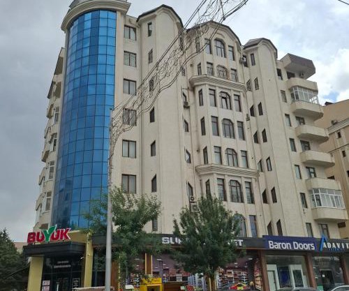 Apartment 1, 2 room Cagarina street 29