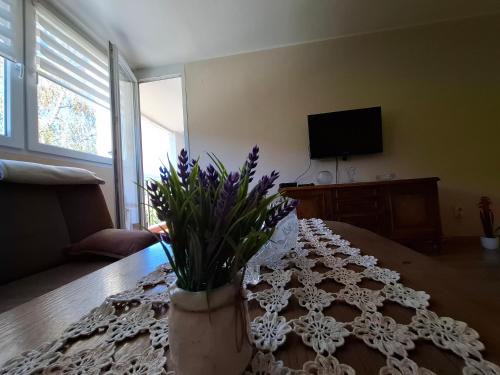 Apartment Borac Travnik