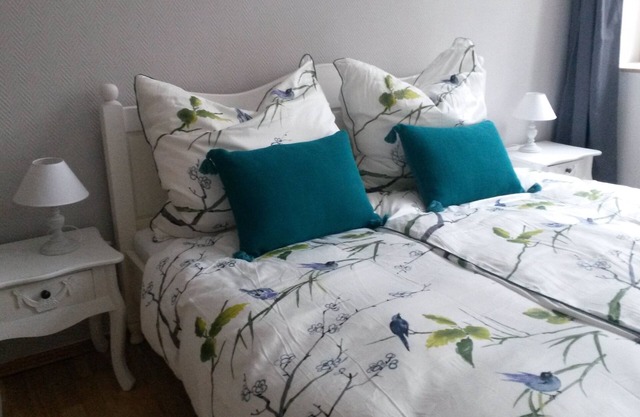 Apartment, close to the center and in a quiet location on the floodplain forest