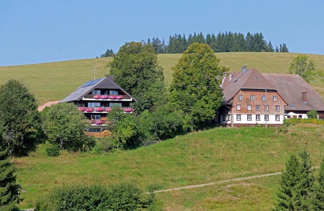 Apartment Feldbergblick, with balcony in sunny secluded location