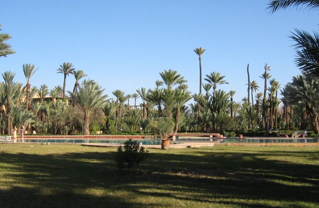 Apartment/flat - MARRAKECH