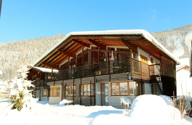 Apartment in Tyrol near ski area