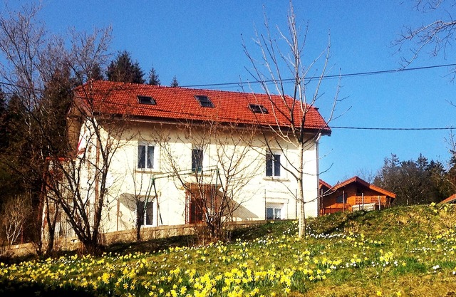 Apartment in independent house, quiet, Gérardmer