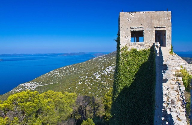 Apartment in Poljana with Seaview, Terrace, Air condition, WIFI (3617-2)
