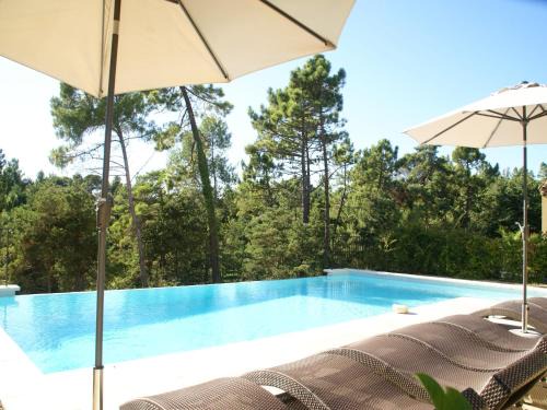 Apartment Montauroux near Lake Cassien