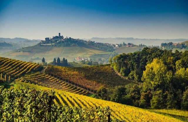 Apartment 'Nel Cuore Del Monferrato' with Shared Terrace and Private Garden
