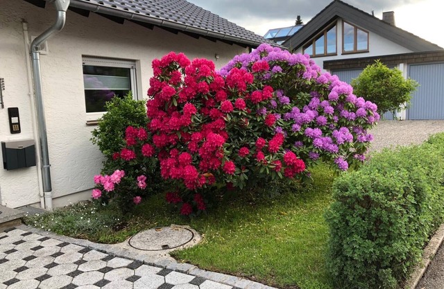Apartment 'Schwarzwaldhirsch' with Private Terrace and Wi-Fi