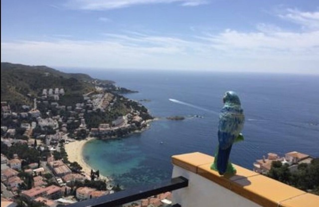 Apartment with splendid sea view over Rosas bay and Canyelles beach