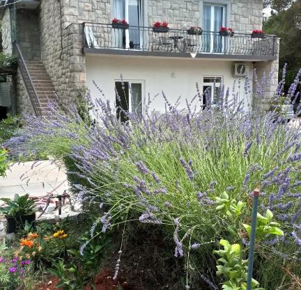 Apartments Duras