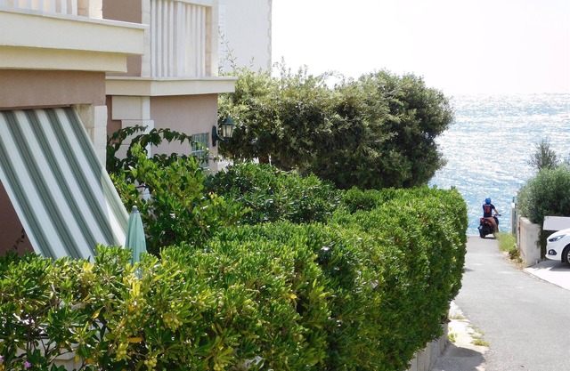 Apartments Mirjana (45561-A1) - Milna