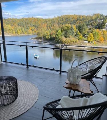 Apartments Saaldorf-Ferienhaus mit 6 Apartments 45qm-120qm direkt am Thüringer Meer-Bleilochtalsperre