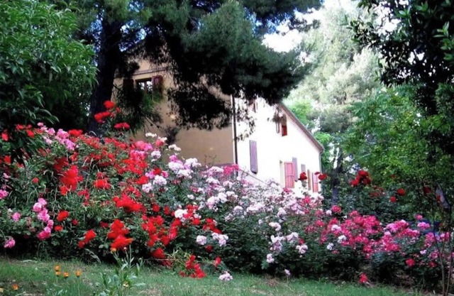 APP. in the MARCHIGIAN COUNTRY, Multifamily