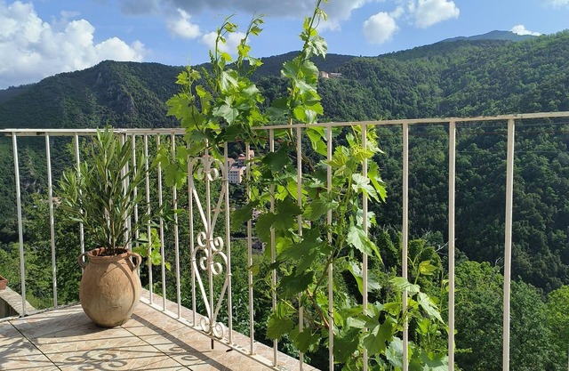 Appartement 35m² Avec Balcon vu sur la Nature !