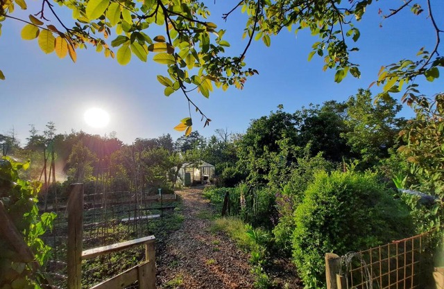 Appartement 3 met terras aan de tuin van Op de Roemte