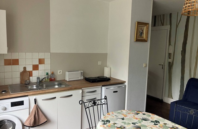 Appartement AU REZ DE Chaussee AU Sein D'une Maison DE Caractere Avec Jardin