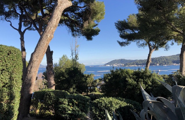 Appartement T2 EN REZ DE Jardin Dans Residence Calme ET Arbore