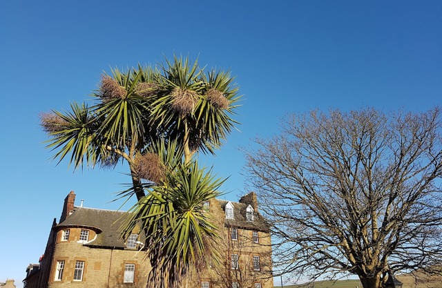 Ardshiel Hotel