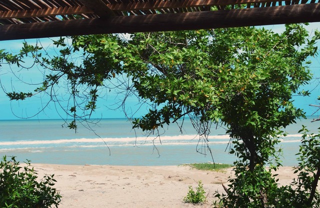Awatawaa Ecolodge