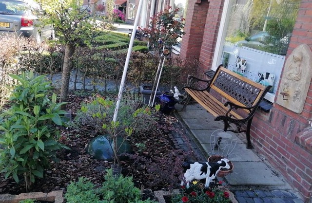 B&B Bij de koeien