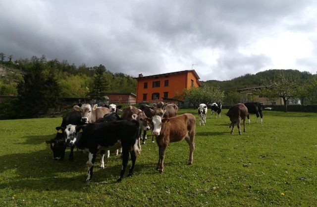 B&B Càsuperchi