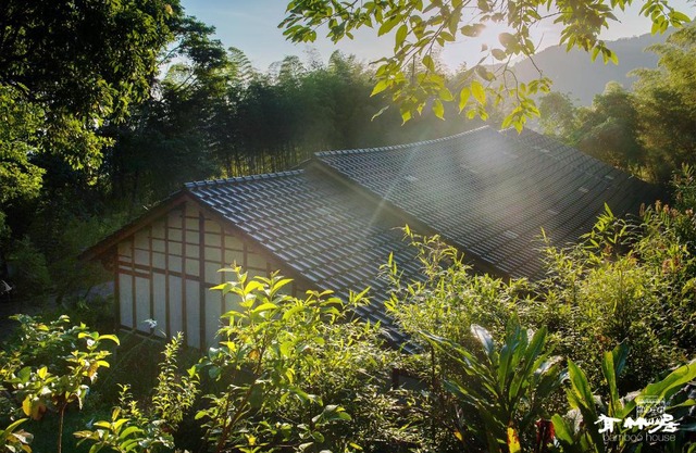 Bamboo House