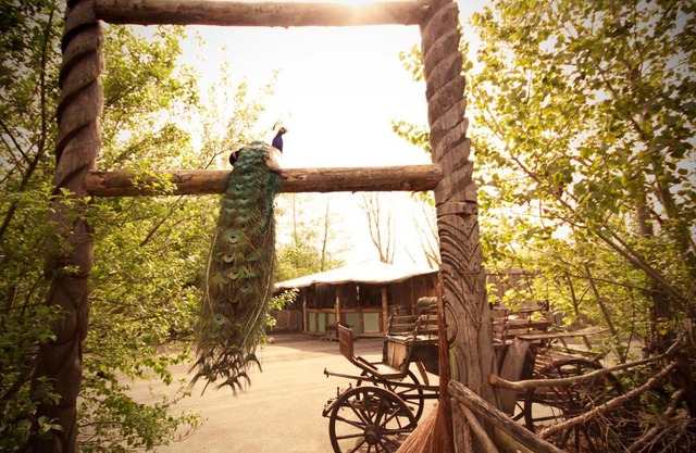 Bamboo Lodge Groningen