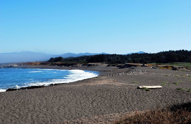 Beach Haven - MacKerricher State Park nearby - Ocean View Home & Guest House