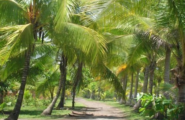 Beachfront with Pool/Great Family House. Start living the Pura Vida today!