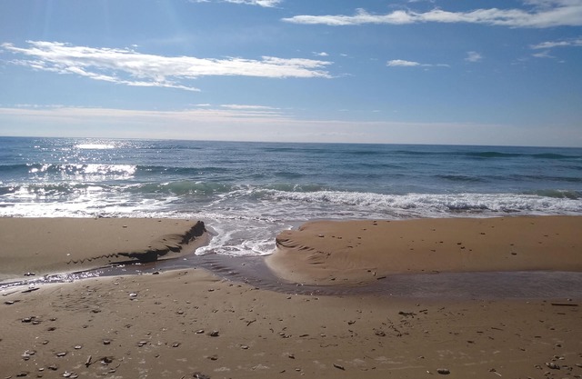 BEAUTIFUL AND COMFORTABLE STUDIO DIRECTLY BY THE SEA