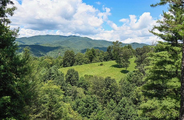 Beautiful Lodge - Amazing Views - BRAND NEW HOT TUB