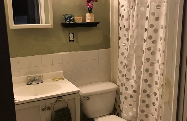 Beautiful north Buffalo home steps from Hertel ave and Delaware Park