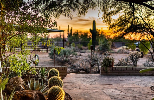 Beautiful Sonoran Desert Home-Dog Friendly. Discounted for 30 + day stays