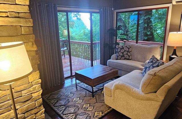 BELOVED BUNGALOW , hot tub, view, WiFi, near Biltmore & downtown