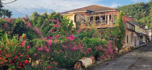 Bentong Hill Cottage