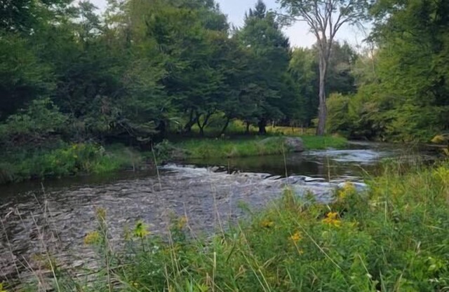Bethel Woods Cabin with River